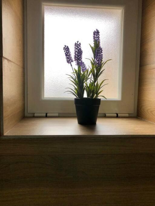 A&C Cozy Apartment Елваш Екстер'єр фото